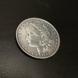 Silver Dollar Polished With Sheen Genie Silver Polish