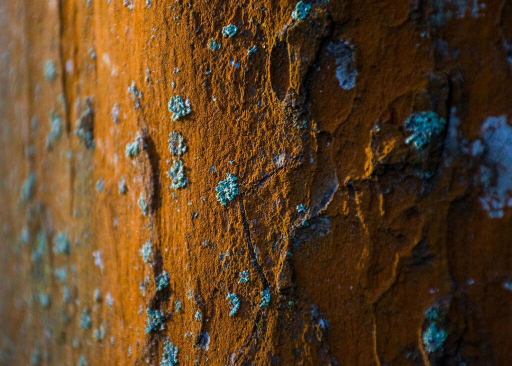 severe rust and oxidation on metal surface
